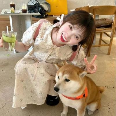 野性的邂逅粤语