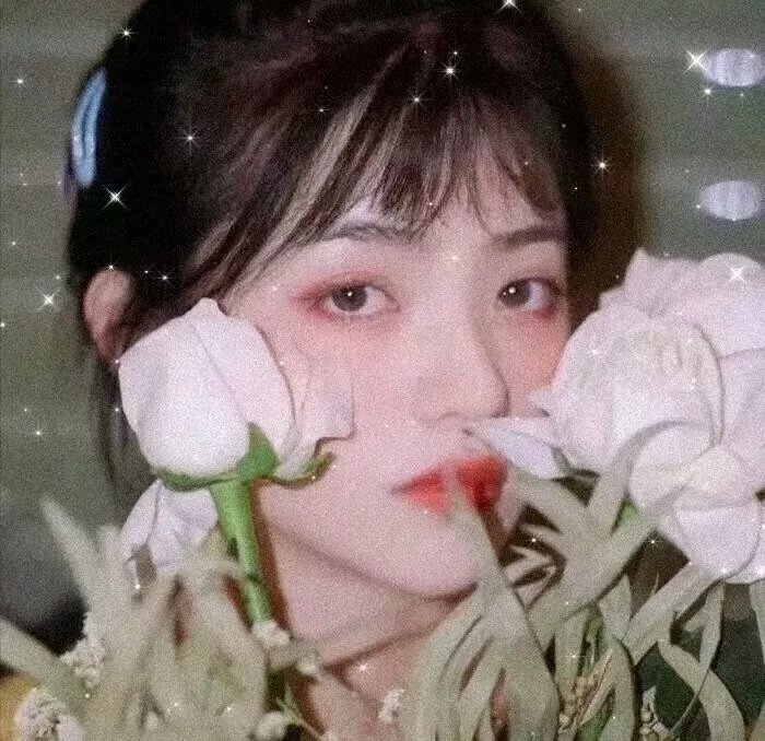谎言的摇篮